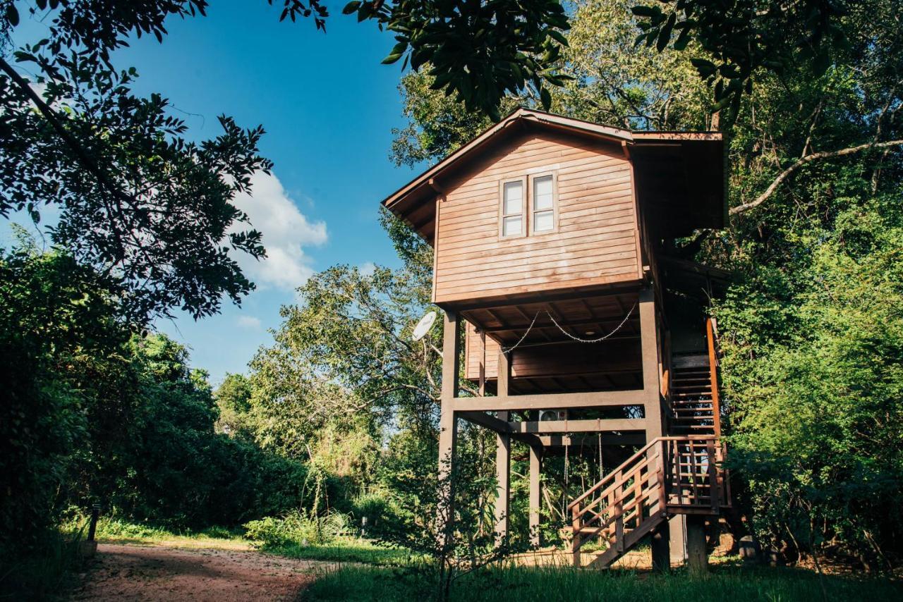Sigiriya King'S Resort Exterior foto